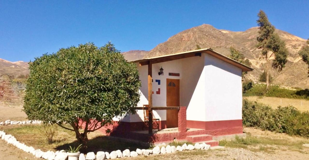 La Chakana Lodge Putre Bagian luar foto
